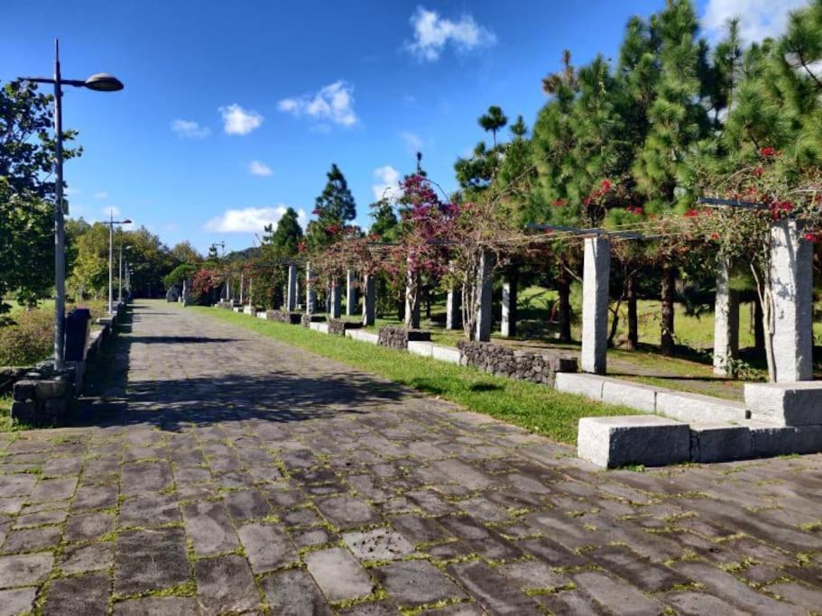 New City Park Apartment In Ponta Delgada Eksteriør billede