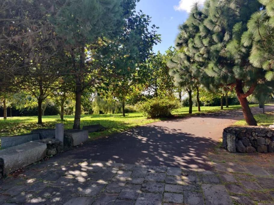 New City Park Apartment In Ponta Delgada Eksteriør billede