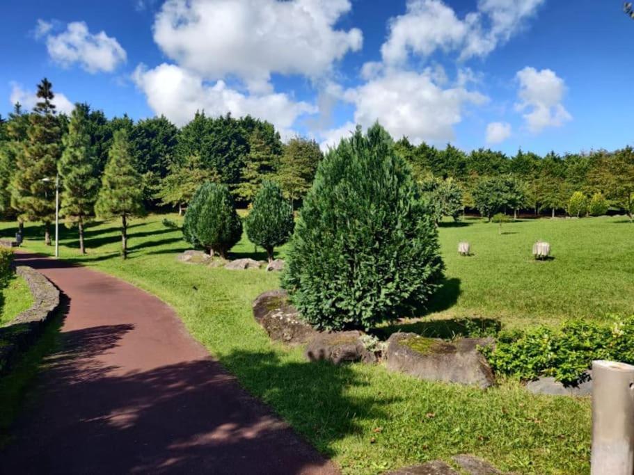 New City Park Apartment In Ponta Delgada Eksteriør billede