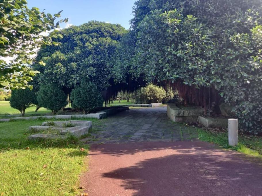 New City Park Apartment In Ponta Delgada Eksteriør billede